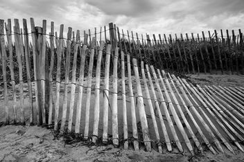 at the beach - Free image #323749